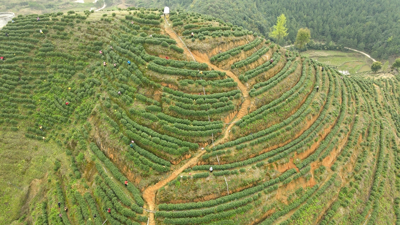 DJI_0623.JPG