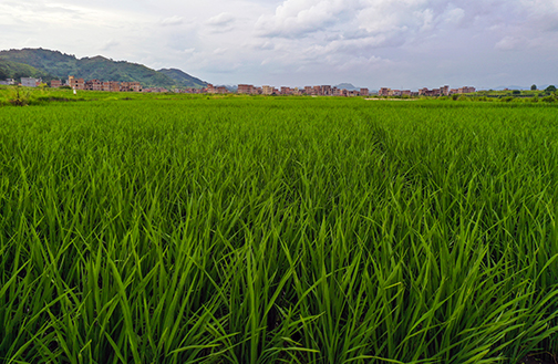 DJI_0401_看圖王a.jpg