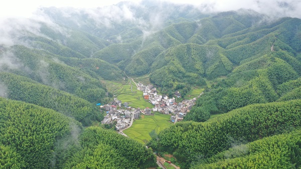 DJI_0549.jpg