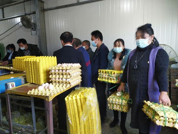 買蛋現(xiàn)場6.jpg