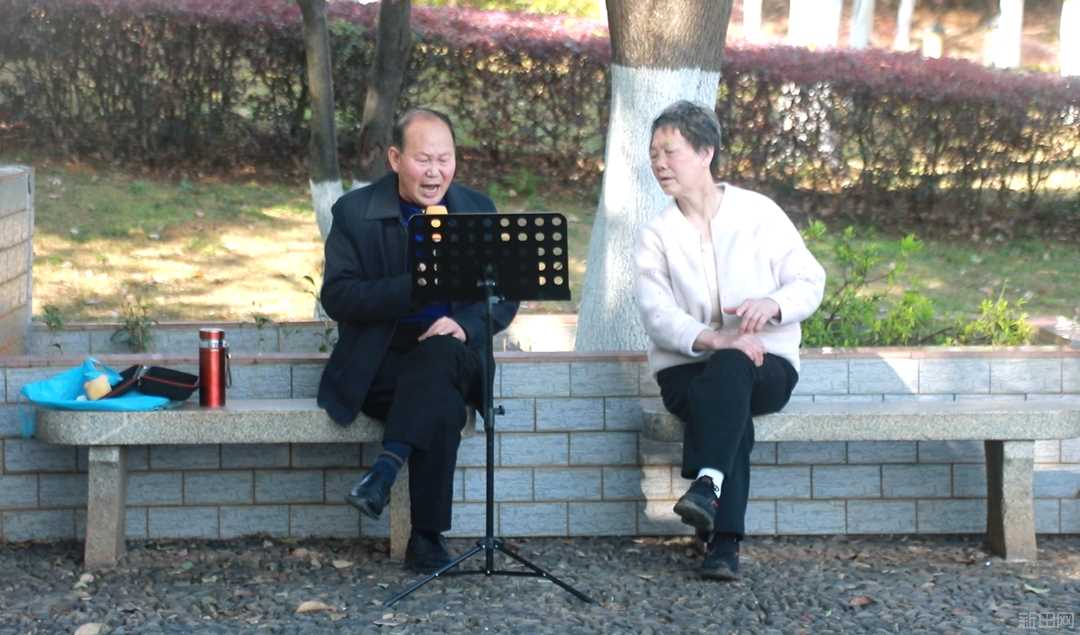 公園.jpg