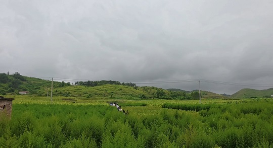 微信图片_20260625203108_122_486.jpg 微信图片_20260625203108_122_486.jpg
